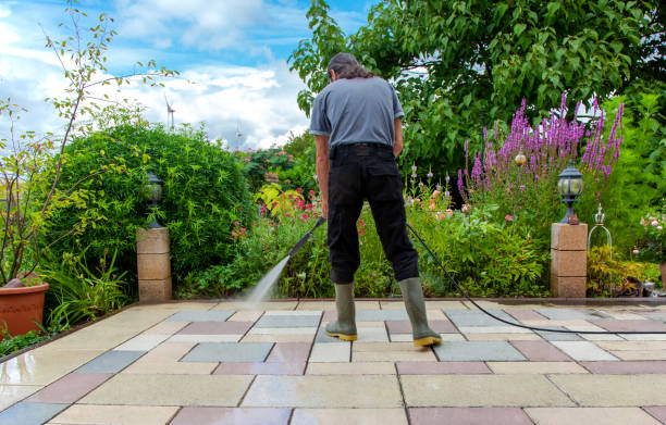 Best Parking Lot and Garage Cleaning  in Taylor, MI